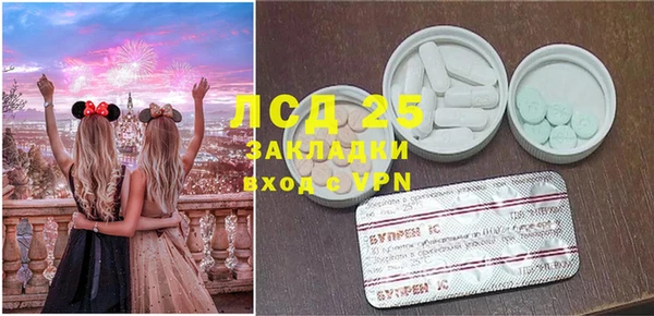 прущие грибы Алексин