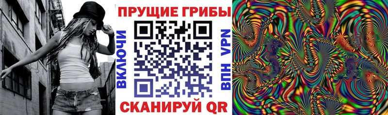 Галлюциногенные грибы Psilocybine cubensis  купить наркотик  mega рабочий сайт  Кинель 